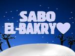   Sabo El-bakry
